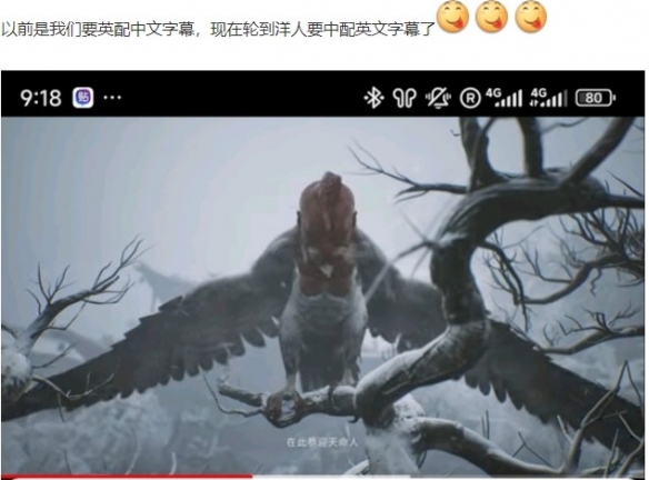 《黑神话》引领文化:玩家呼吁中文配音加英文字幕_图片